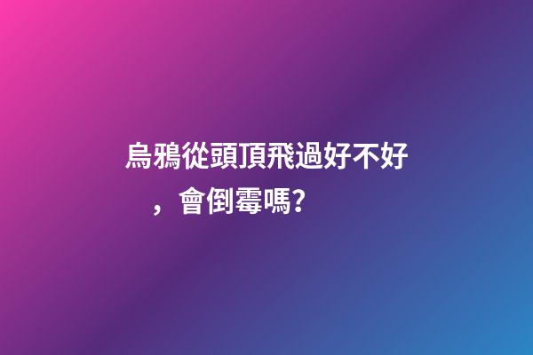 烏鴉從頭頂飛過好不好，會倒霉嗎？